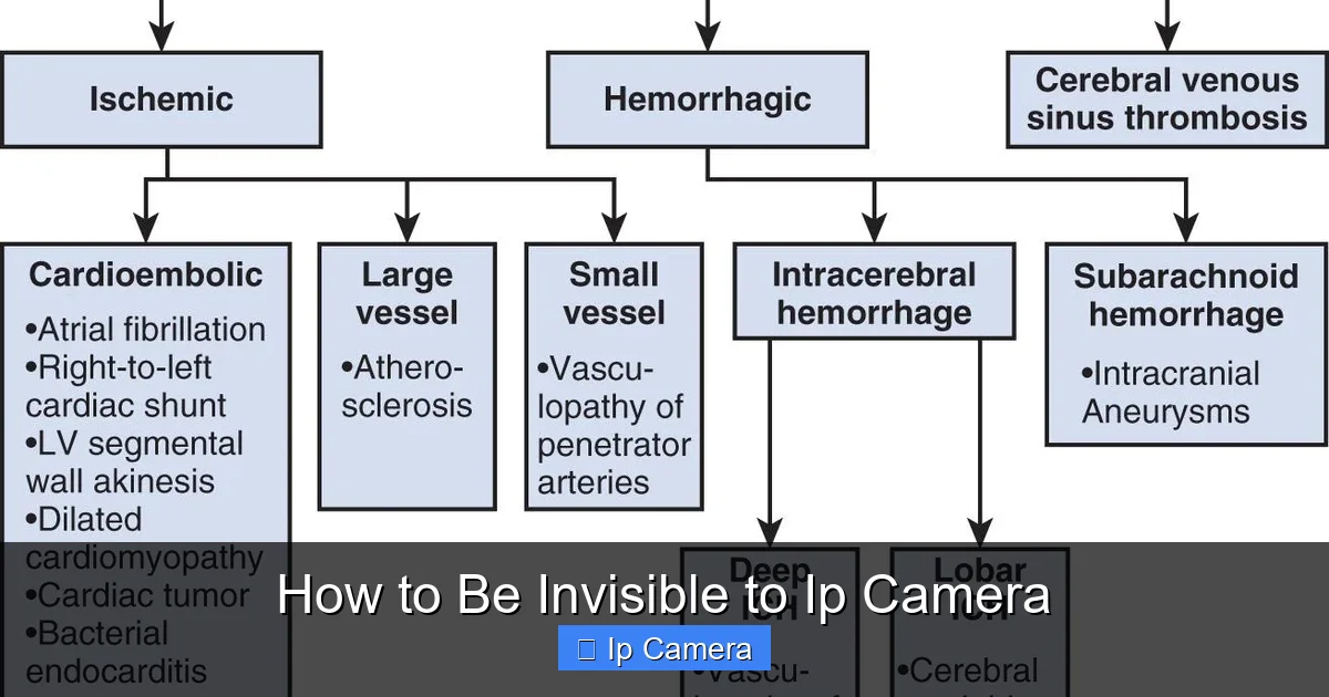 How to Be Invisible to Ip Camera