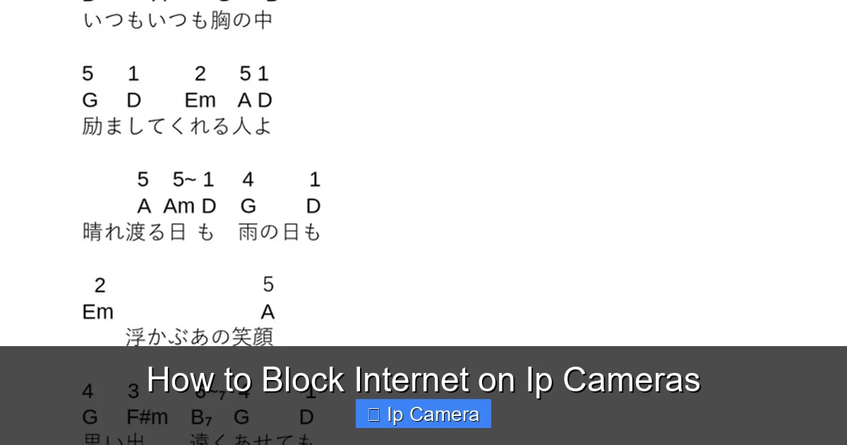 How to Block Internet on Ip Cameras