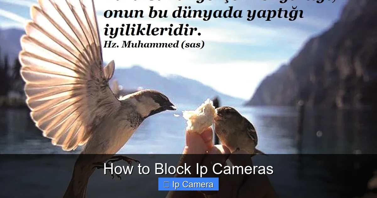 How to Block Ip Cameras