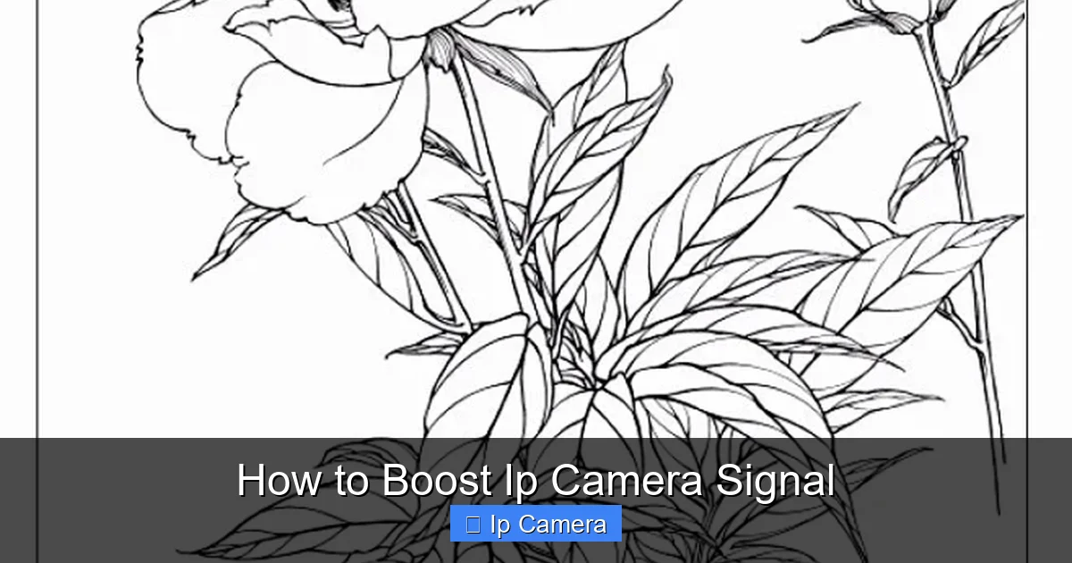 How to Boost Ip Camera Signal