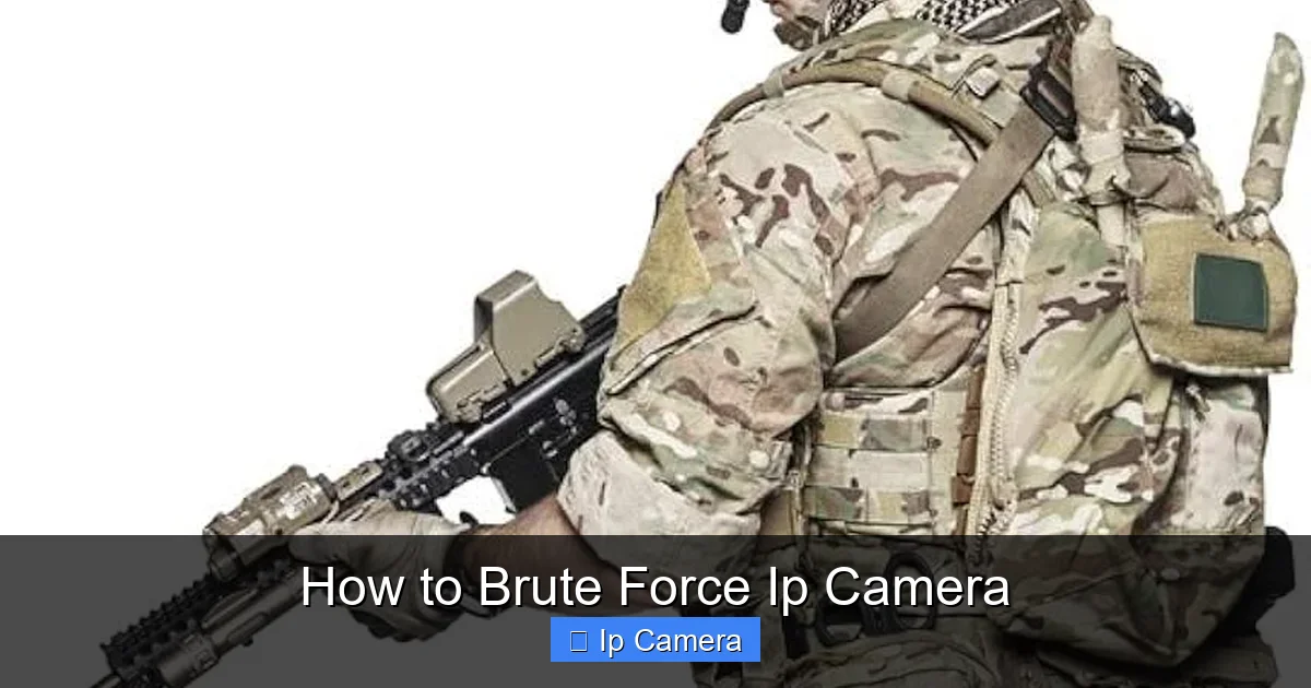 How to Brute Force Ip Camera