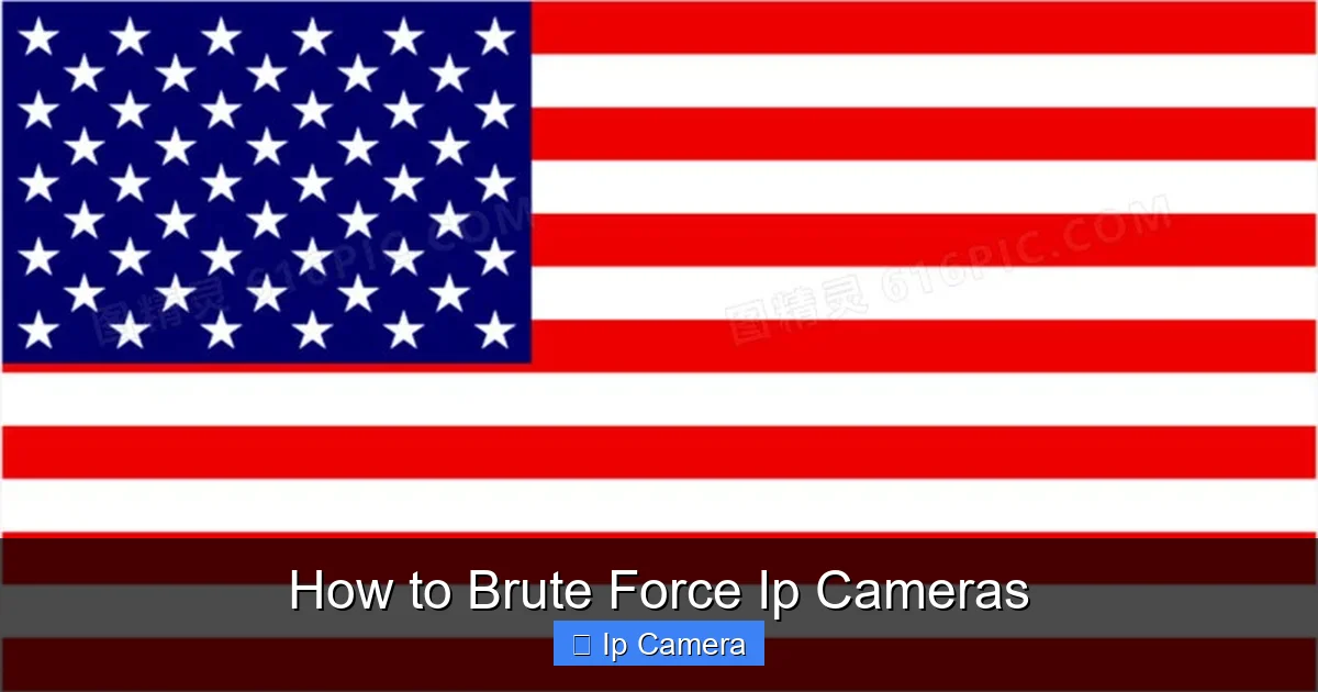 How to Brute Force Ip Cameras