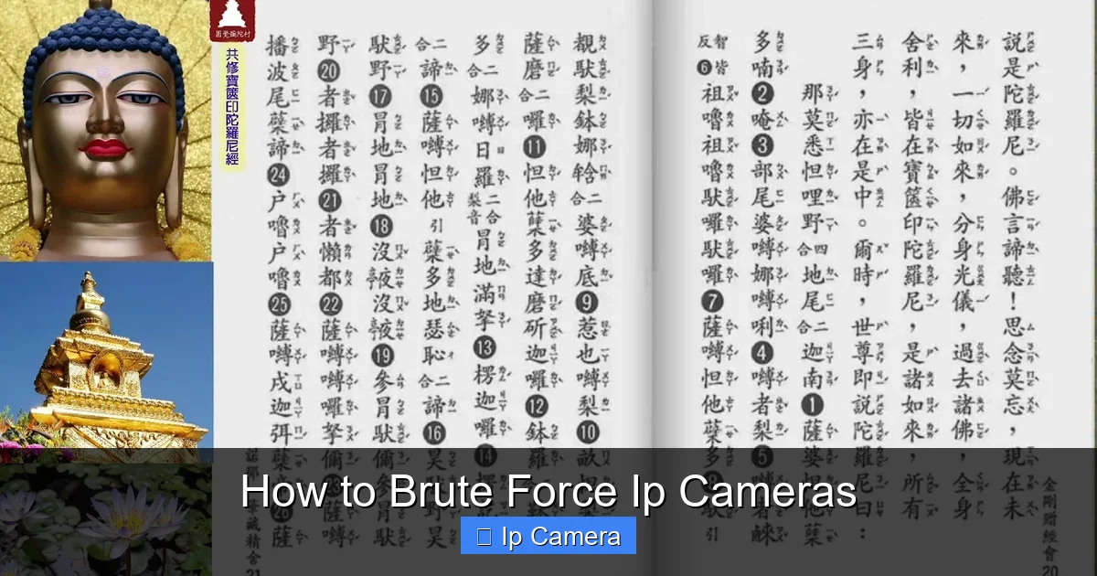 How to Brute Force Ip Cameras