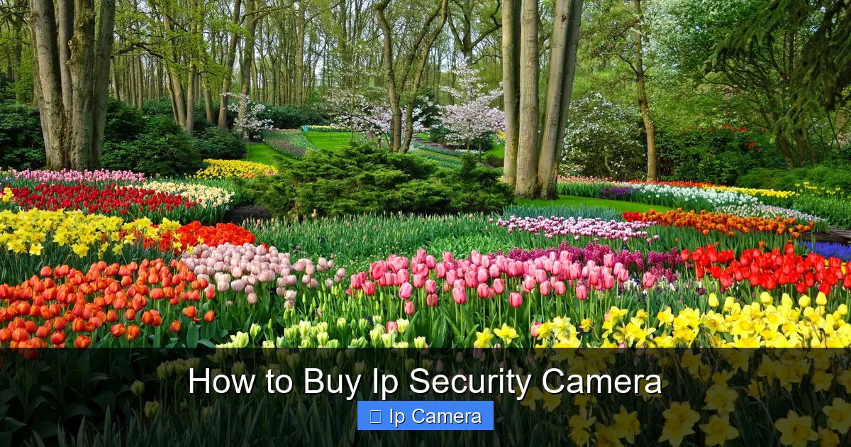 How to Buy Ip Security Camera
