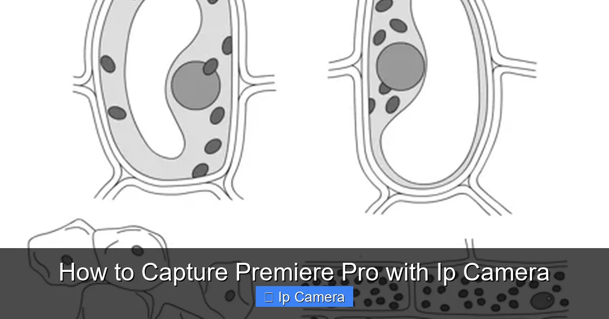 How to Capture Premiere Pro with Ip Camera
