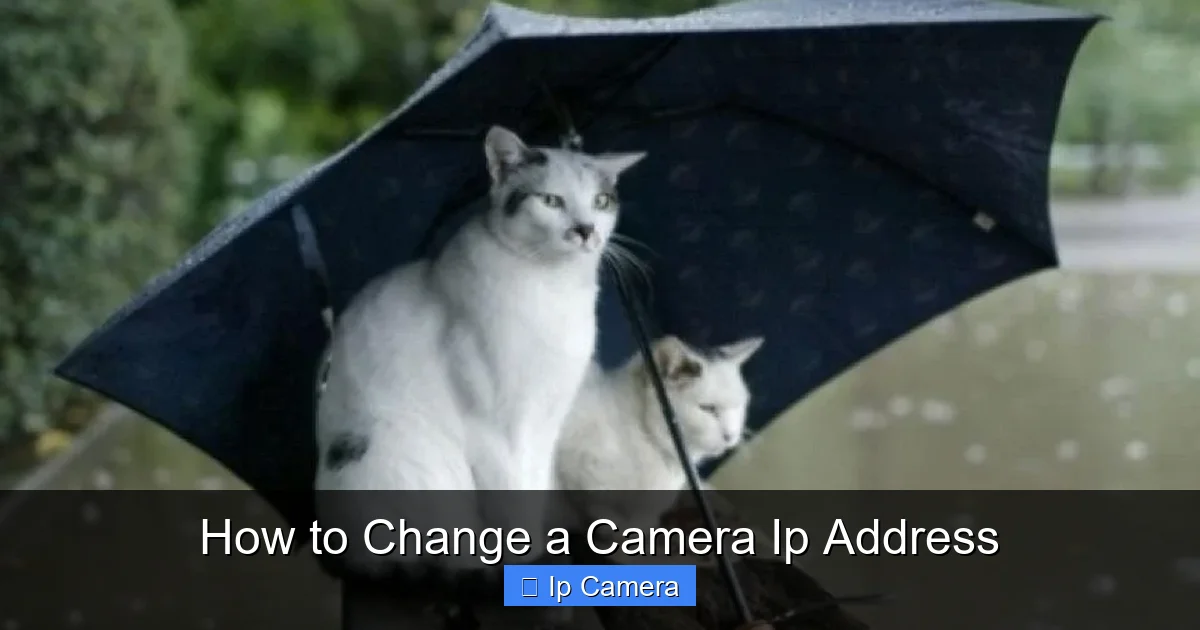 How to Change a Camera Ip Address