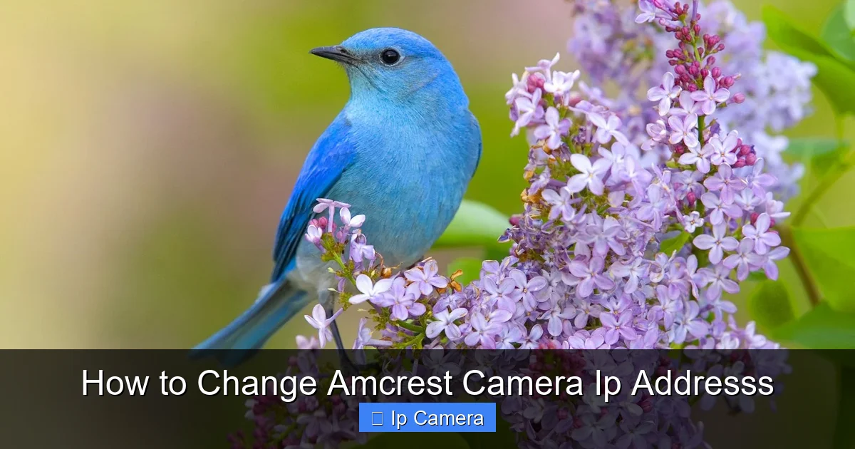 How to Change Amcrest Camera Ip Addresss