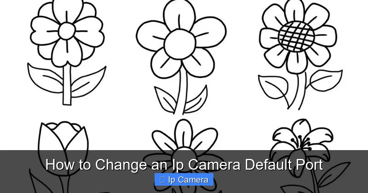 How to Change an Ip Camera Default Port