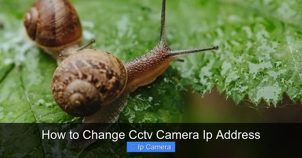How to Change Cctv Camera Ip Address