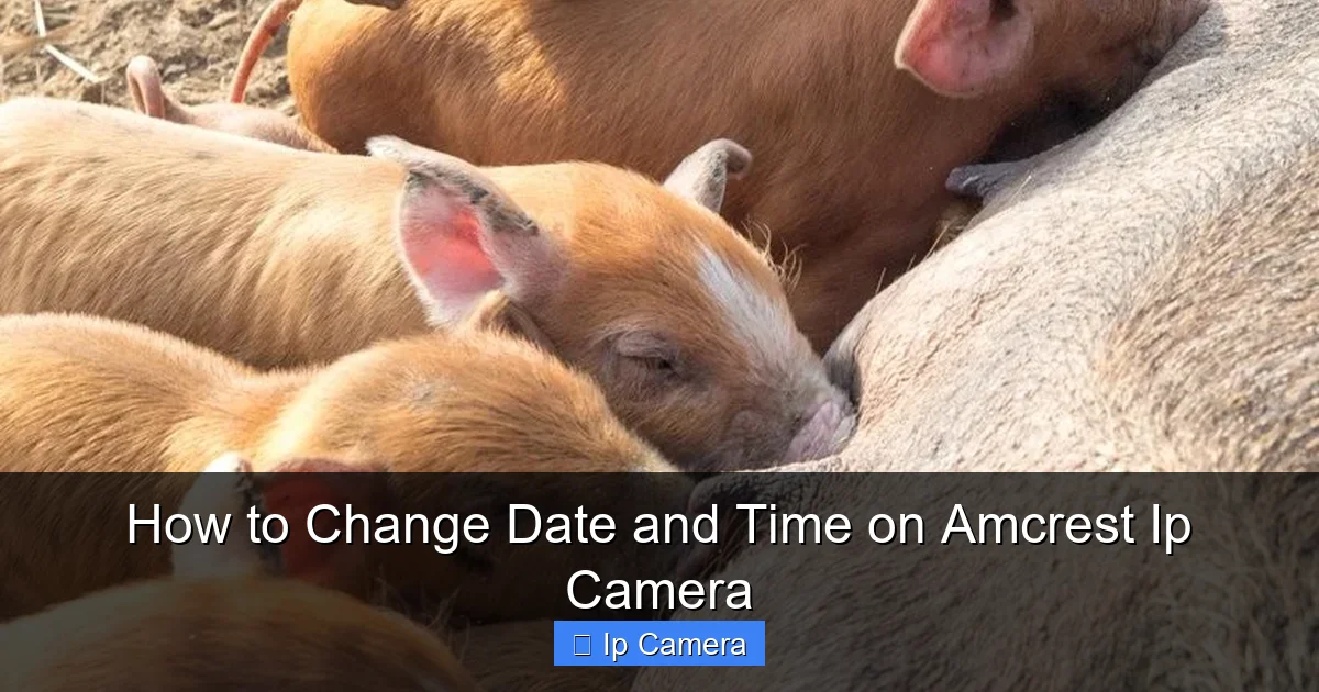 How to Change Date and Time on Amcrest Ip Camera