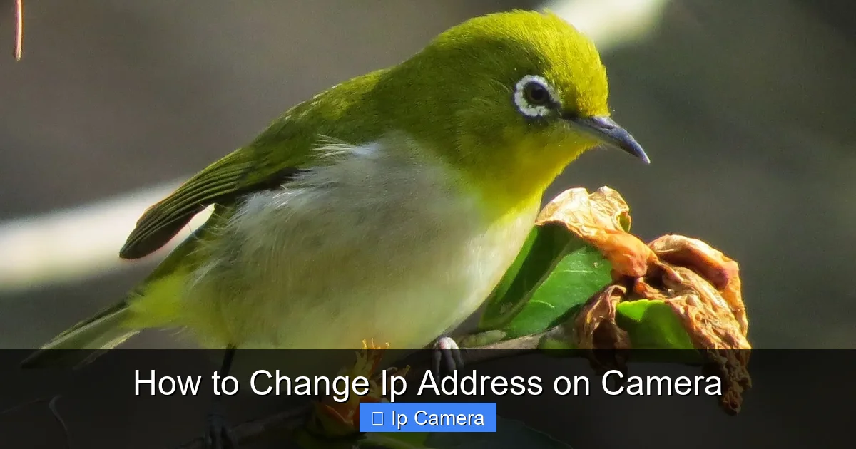 How to Change Ip Address on Camera
