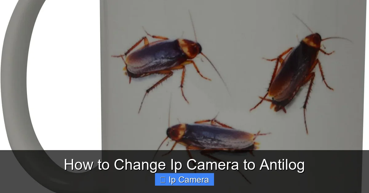 How to Change Ip Camera to Antilog