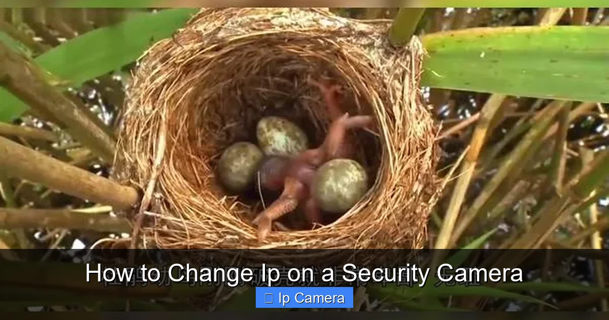 How to Change Ip on a Security Camera