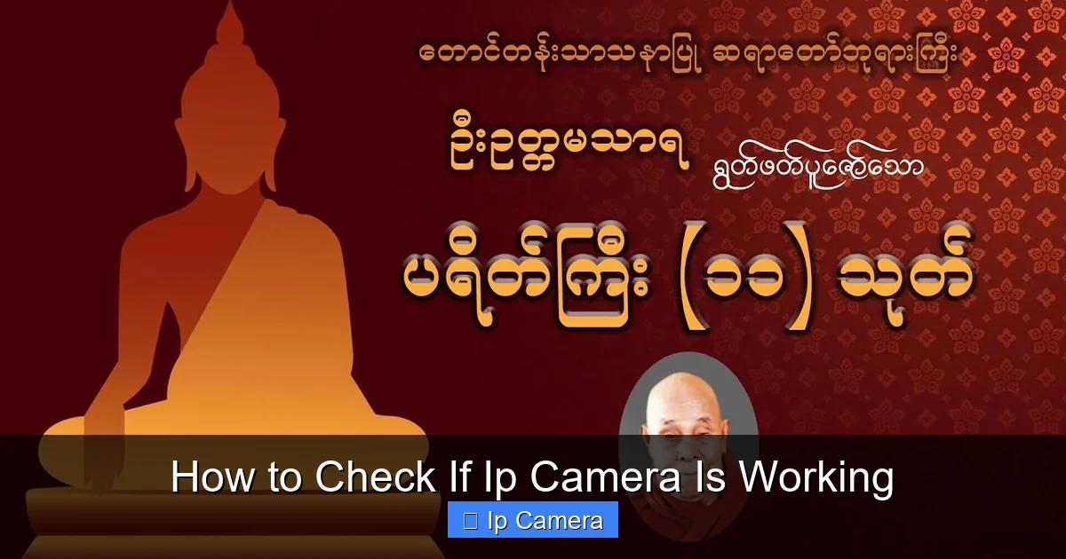 How to Check If Ip Camera Is Working