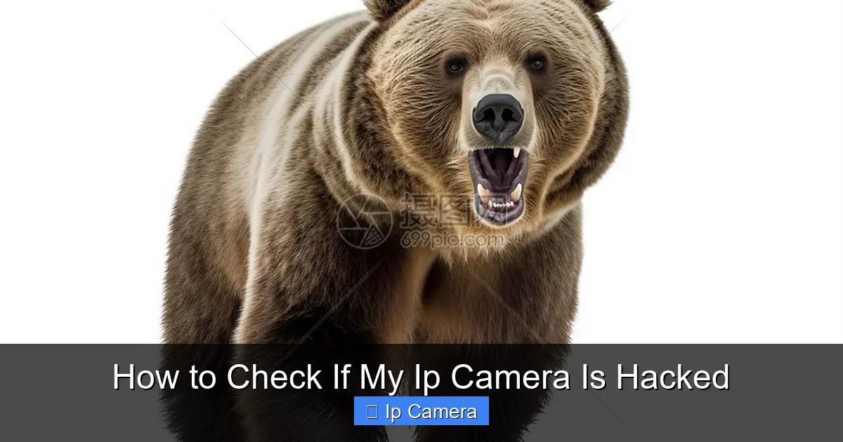 How to Check If My Ip Camera Is Hacked