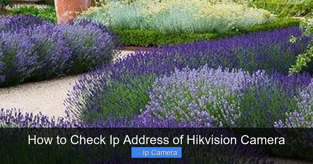 How to Check Ip Address of Hikvision Camera