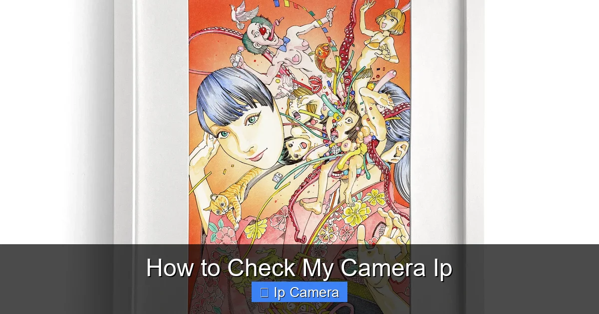 How to Check My Camera Ip