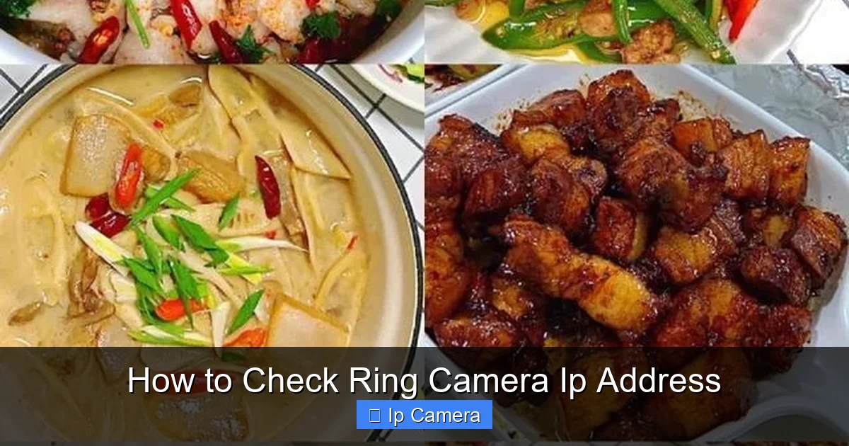 How to Check Ring Camera Ip Address