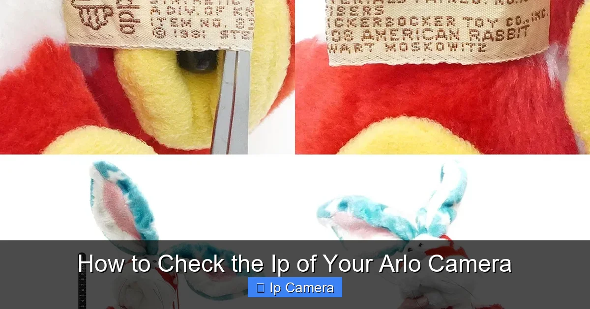 How to Check the Ip of Your Arlo Camera