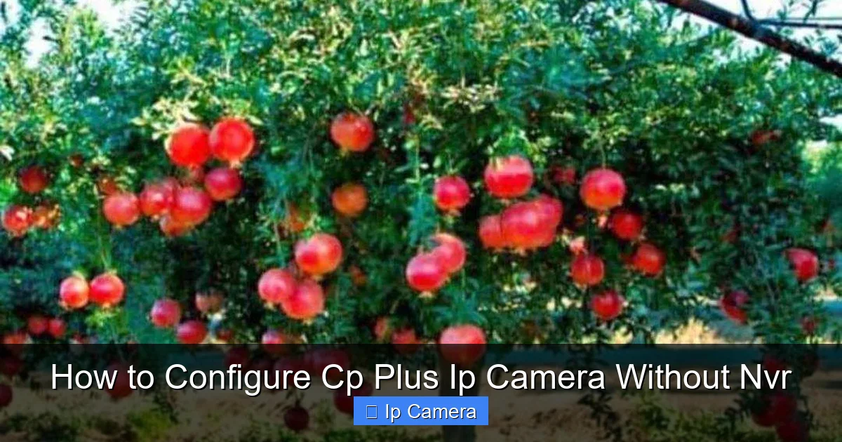 How to Configure Cp Plus Ip Camera Without Nvr
