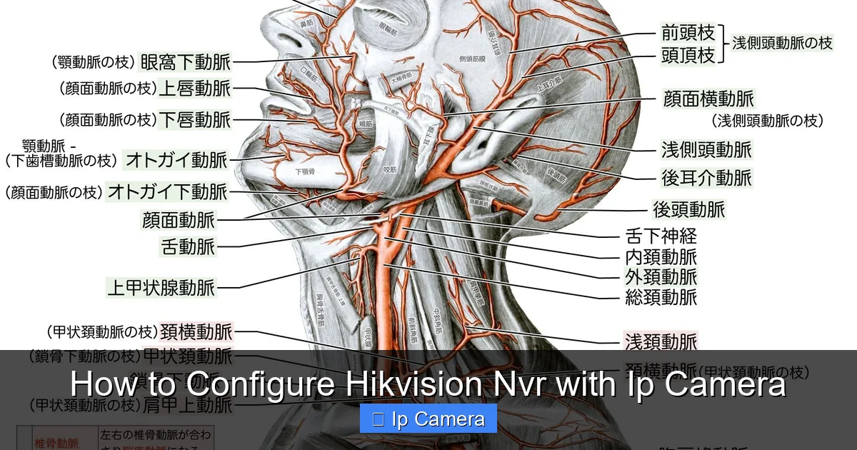 How to Configure Hikvision Nvr with Ip Camera