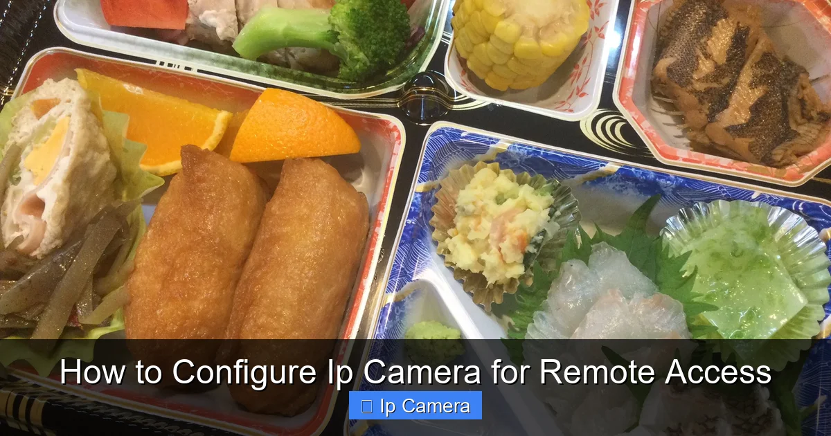 How to Configure Ip Camera for Remote Access
