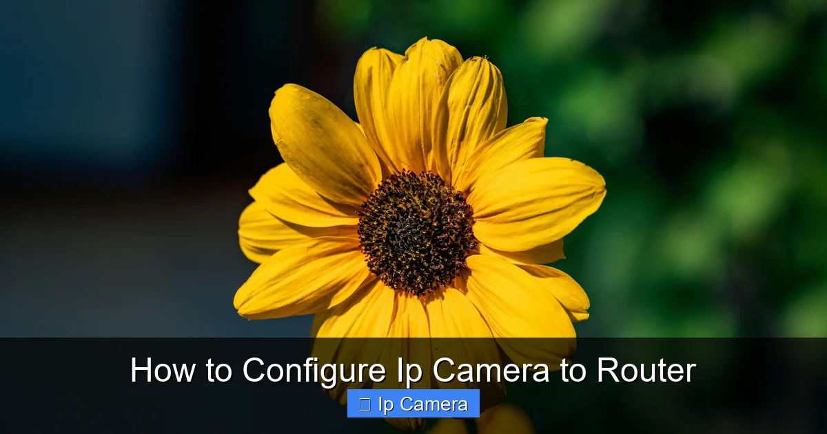 How to Configure Ip Camera to Router