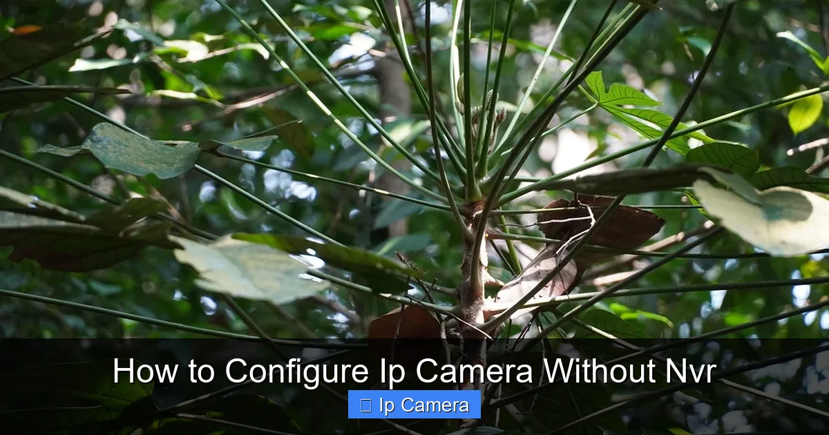 How to Configure Ip Camera Without Nvr