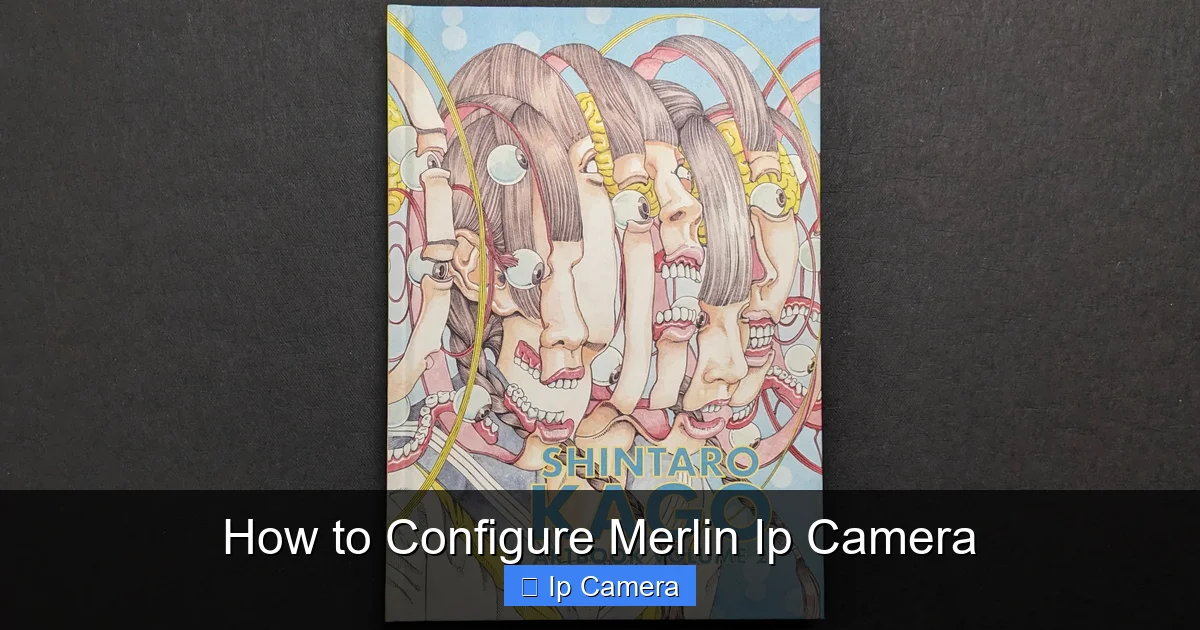 How to Configure Merlin Ip Camera