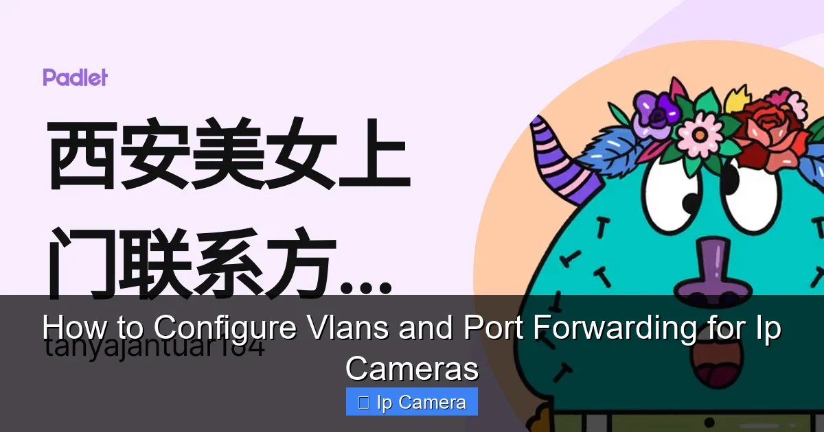 How to Configure Vlans and Port Forwarding for Ip Cameras