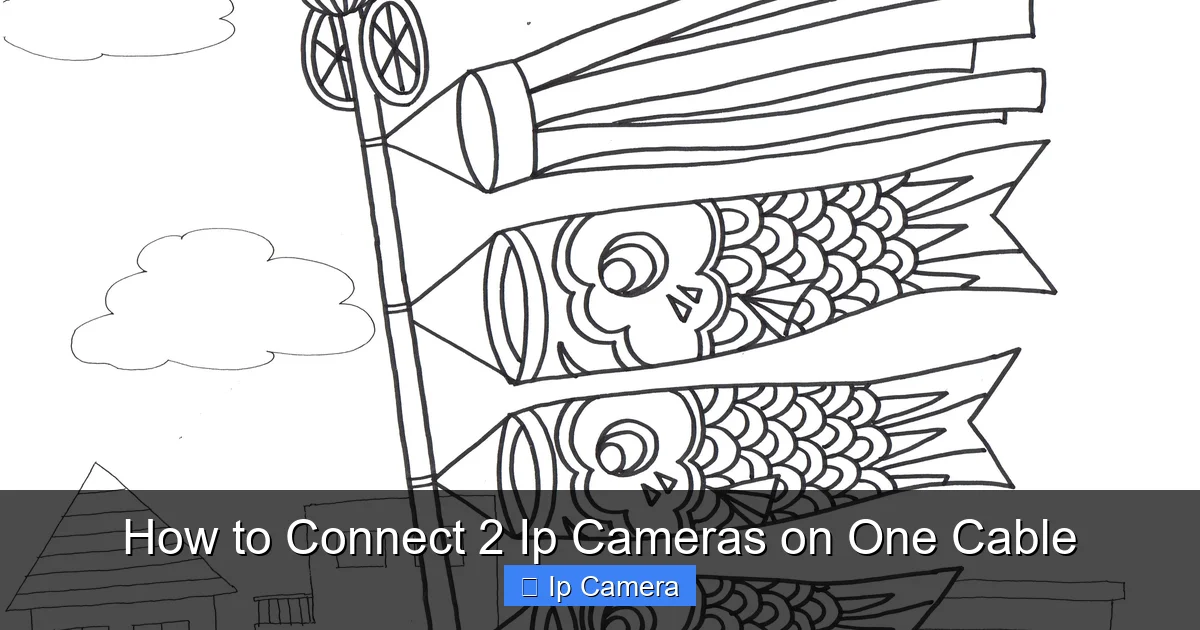 How to Connect 2 Ip Cameras on One Cable