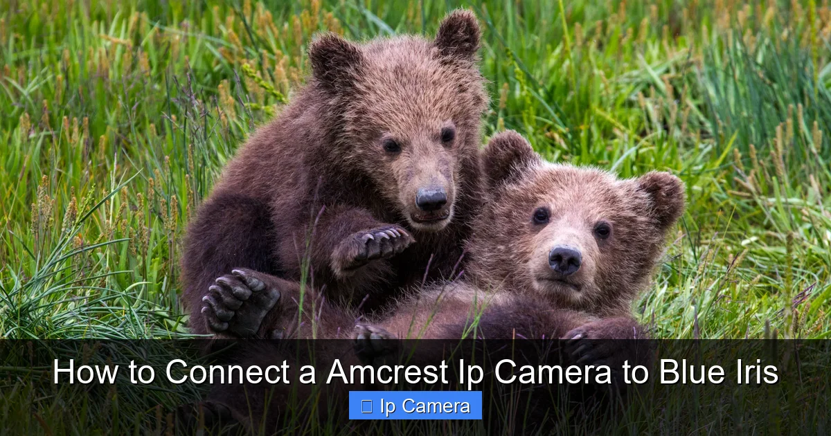 How to Connect a Amcrest Ip Camera to Blue Iris