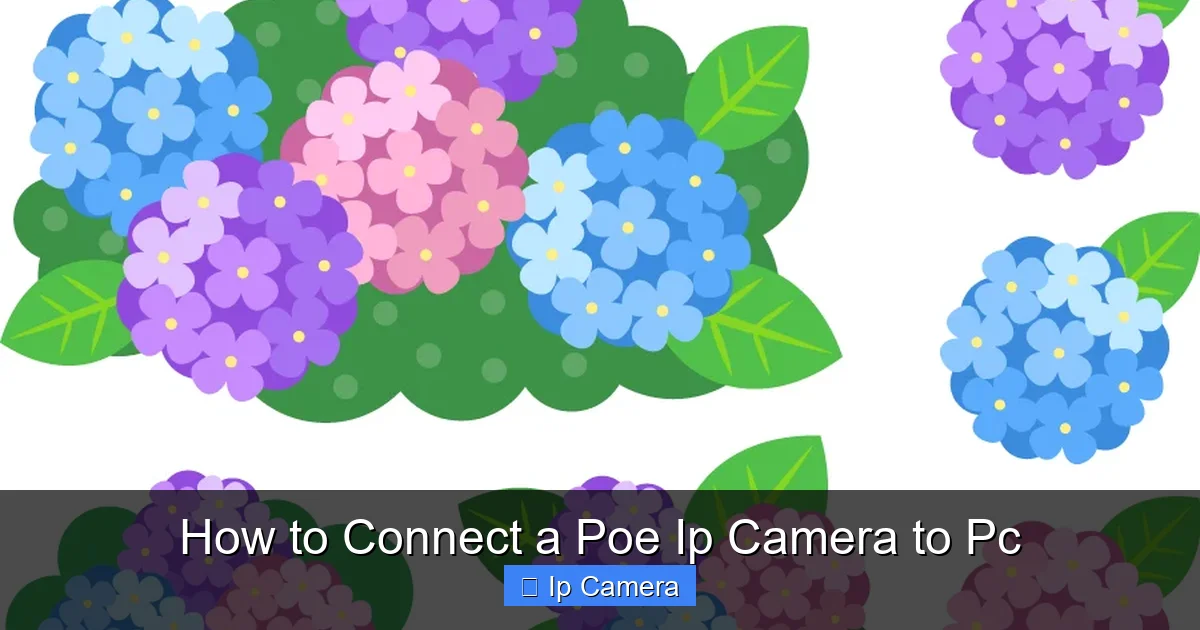 How to Connect a Poe Ip Camera to Pc
