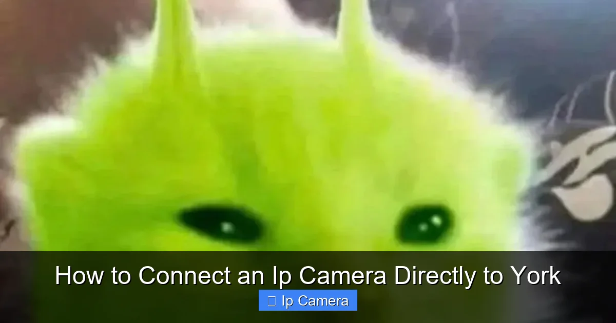 How to Connect an Ip Camera Directly to York
