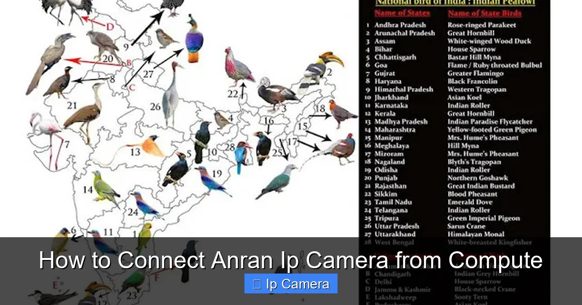 How to Connect Anran Ip Camera from Compute