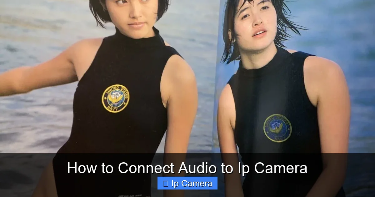 How to Connect Audio to Ip Camera