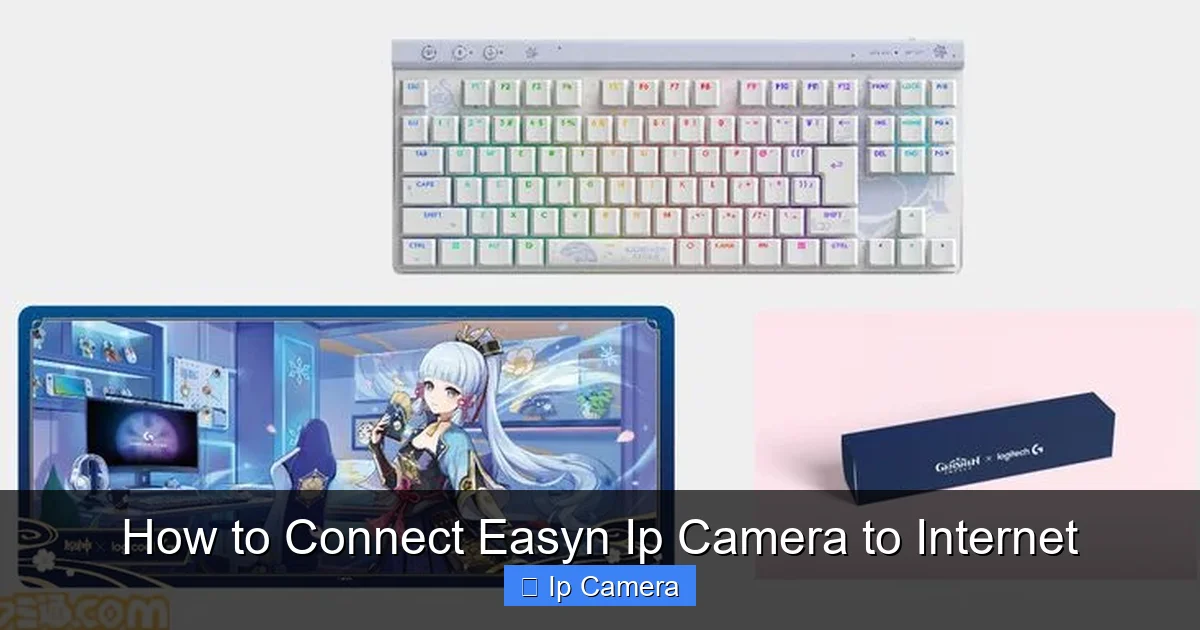 How to Connect Easyn Ip Camera to Internet