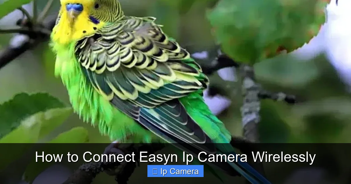 How to Connect Easyn Ip Camera Wirelessly