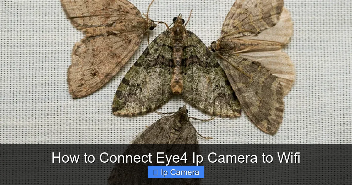 How to Connect Eye4 Ip Camera to Wifi