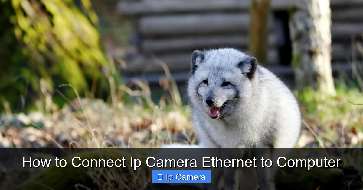 How to Connect Ip Camera Ethernet to Computer