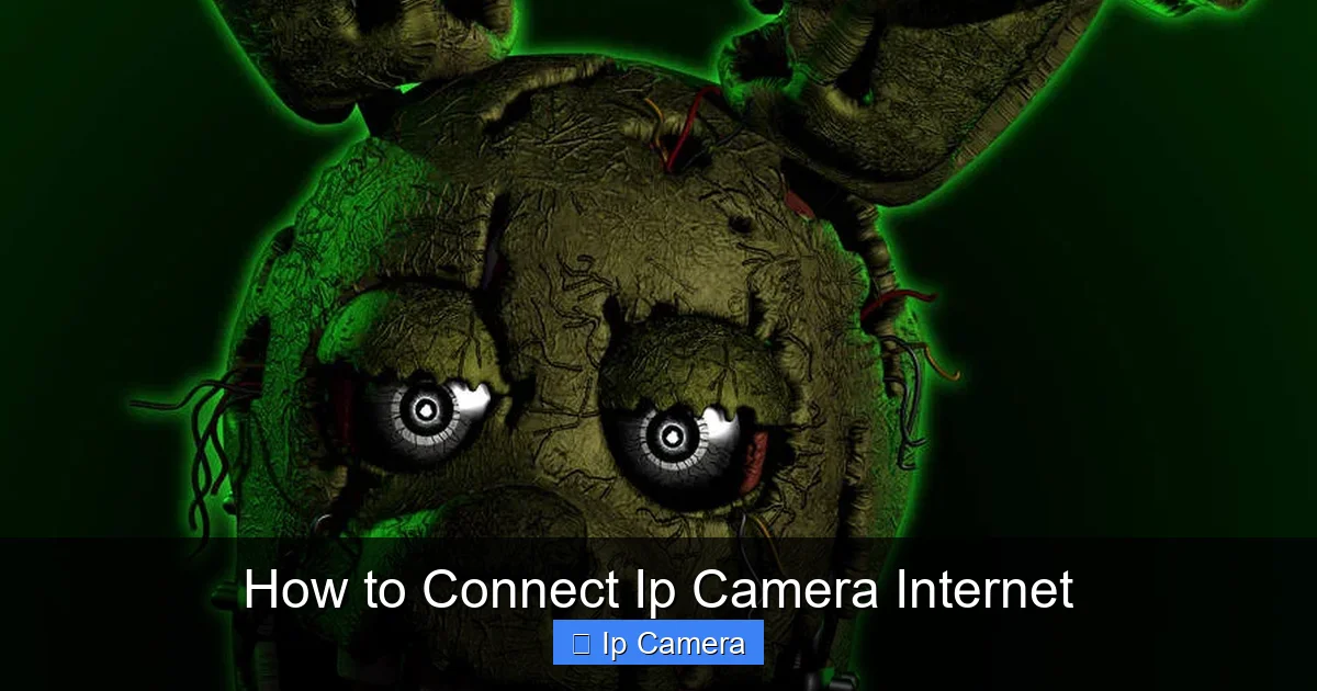 How to Connect Ip Camera Internet