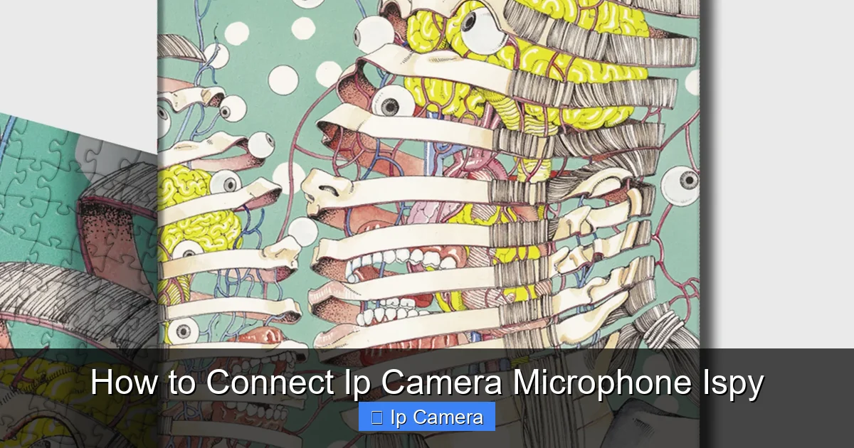 How to Connect Ip Camera Microphone Ispy