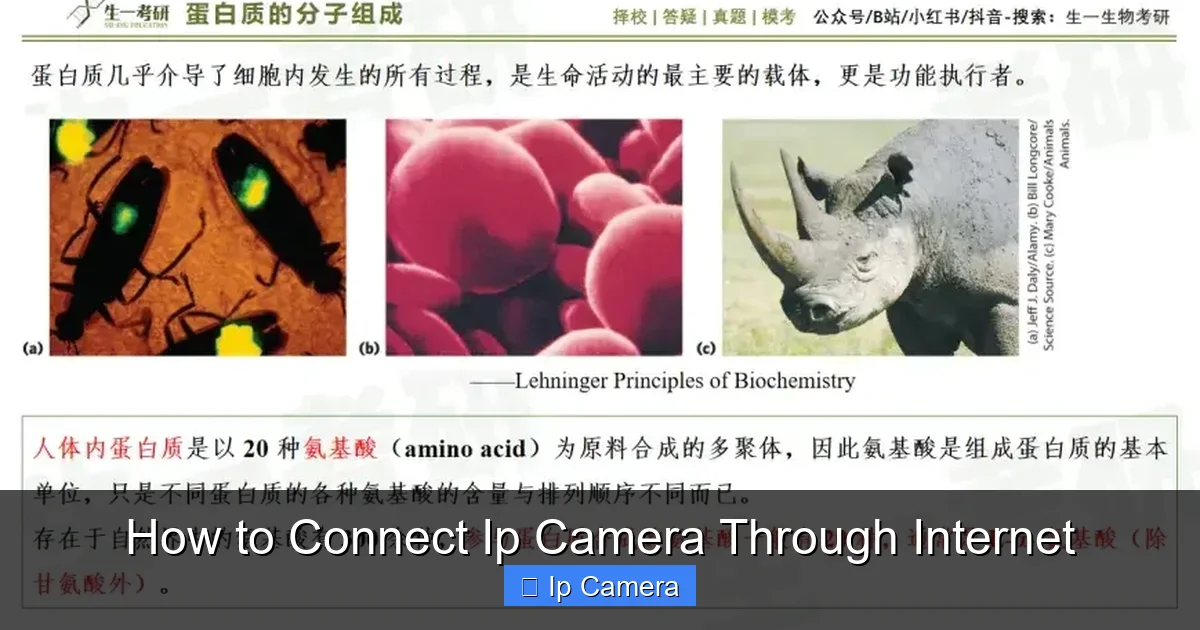 How to Connect Ip Camera Through Internet