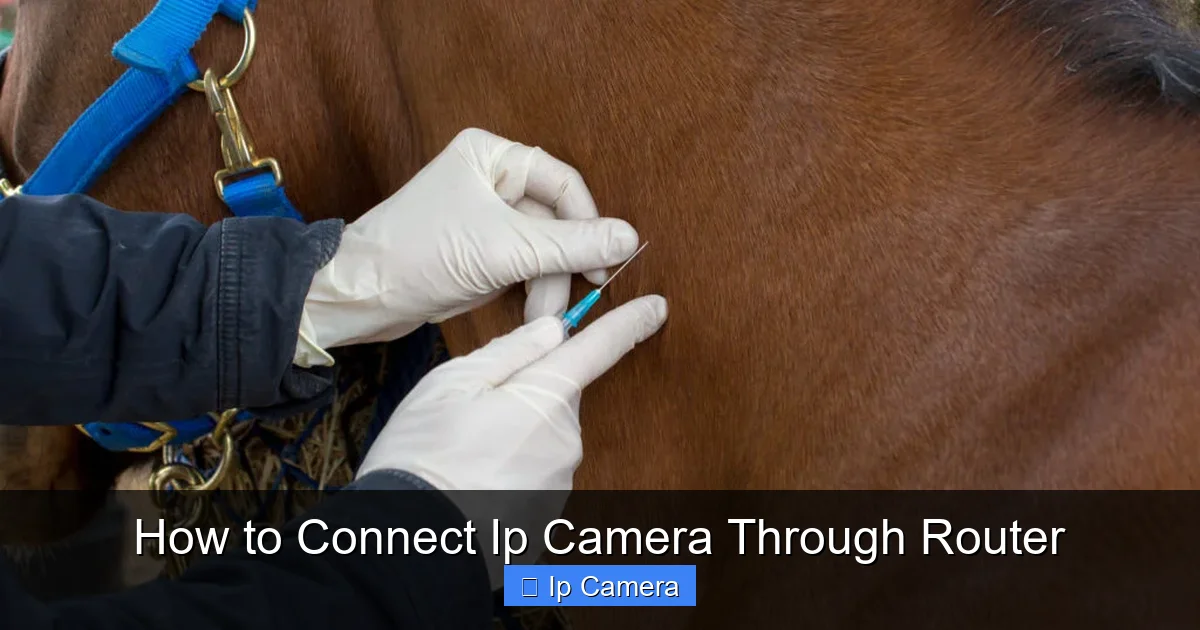 How to Connect Ip Camera Through Router