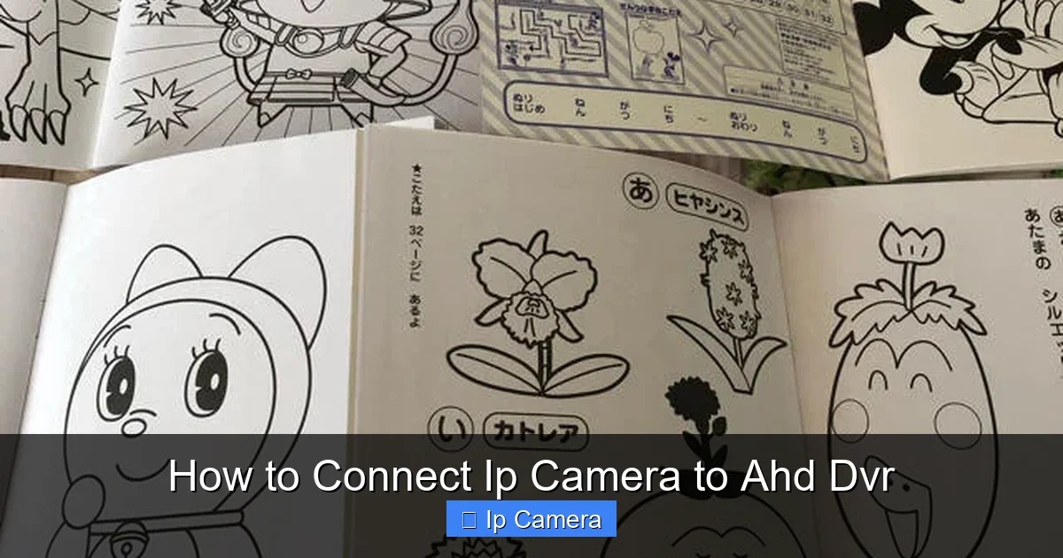 How to Connect Ip Camera to Ahd Dvr