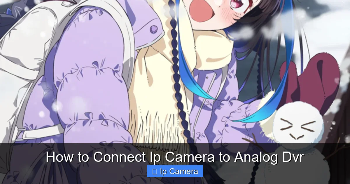 How to Connect Ip Camera to Analog Dvr