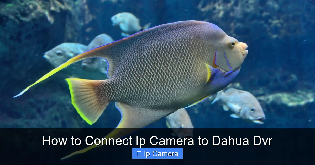 How to Connect Ip Camera to Dahua Dvr