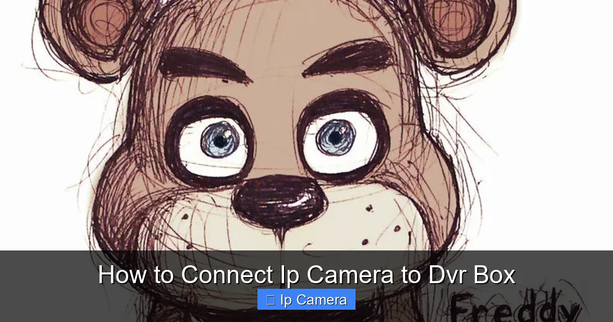 How to Connect Ip Camera to Dvr Box