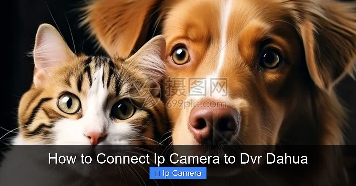 How to Connect Ip Camera to Dvr Dahua