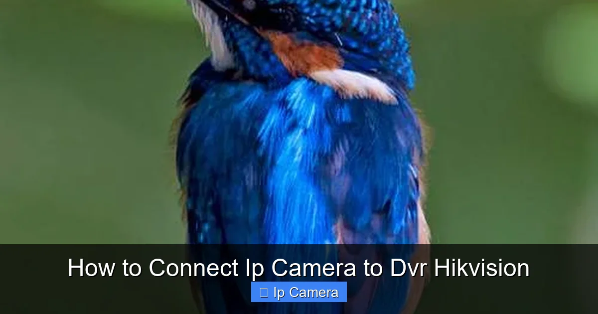 How to Connect Ip Camera to Dvr Hikvision